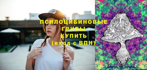 метадон Кодинск