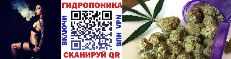 МАРИХУАНА ГИДРОПОН  Купить где  Буй 